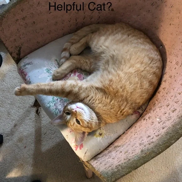 Bath and Body Work Single Wick Candle Linen & Lavender in Box White Barn - Picture 5 of 5